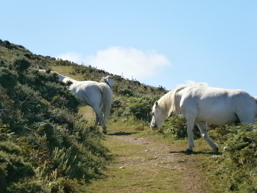 They were nice and trusting...