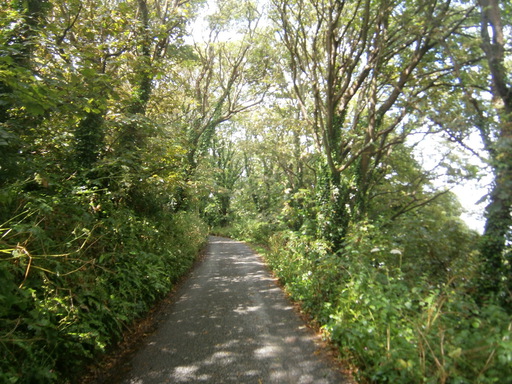 Now really almost in Dale