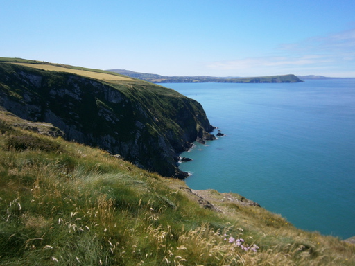 Dina's head on the right