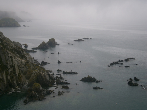 Fishguard in the background