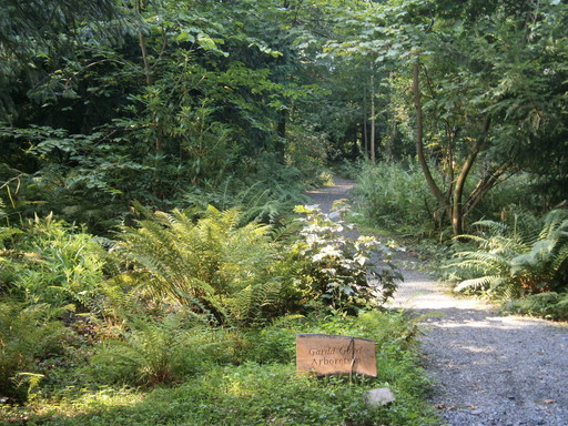 Going through nice parks...