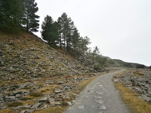 A quarry, took is quite some time up there