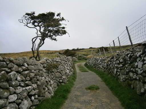 On our way to Llwyngwril