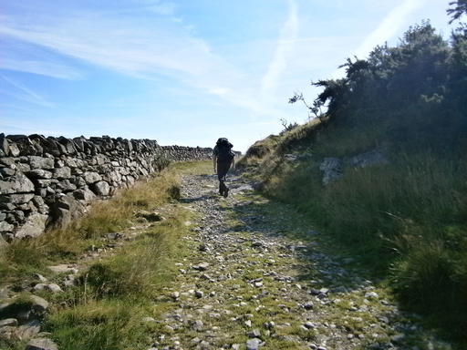 Up the hill from the last image