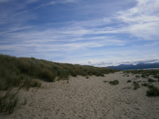 Black rock sands