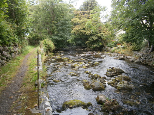 Getting back to the path