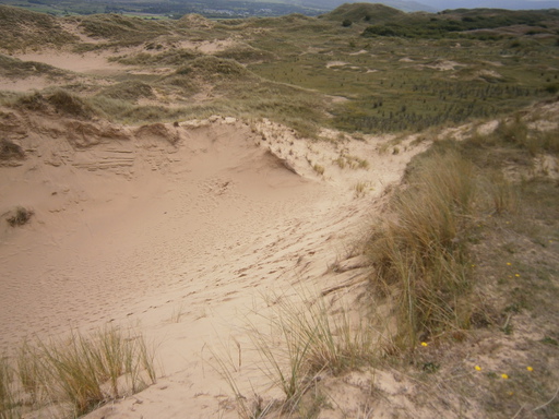 Took us over an hour from the air field to the beach through Dyffryn Beach