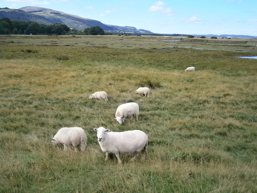 They are everywhere...