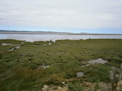 Tides are coming in fast