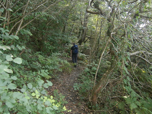 The last mile... was tough