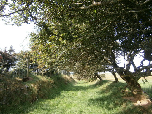 Nowhere near the coastal path