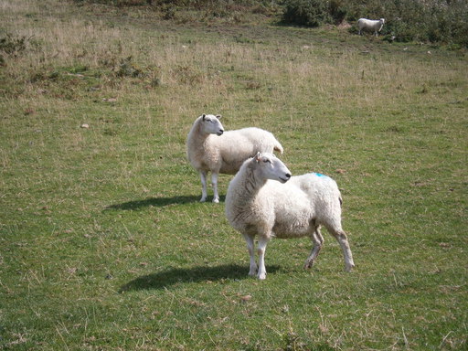 yeah, they are watching me!