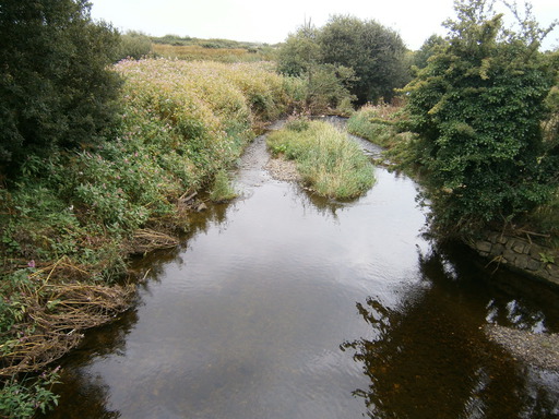 Nearby the first part walking along the main road