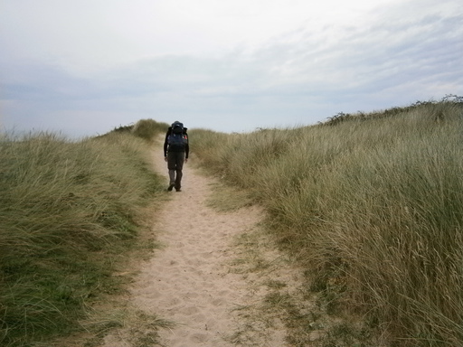 Returning to the sea