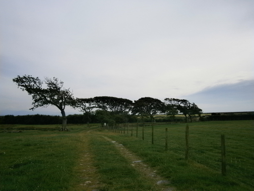 Going from the main road towards the water... again