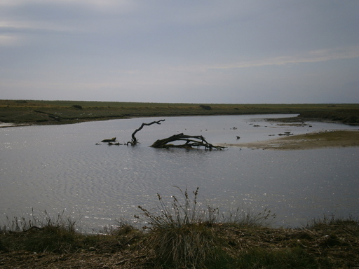 Afon Dwyfor, the river without bridge, which leads to huge way around it