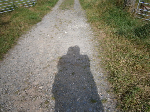 Looks like a romantic hug, but I really only got out the sun-lotion :-)