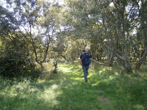 Not a lot of sea today