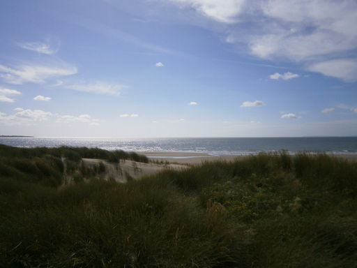 Morfa Harlech is a whole dune system