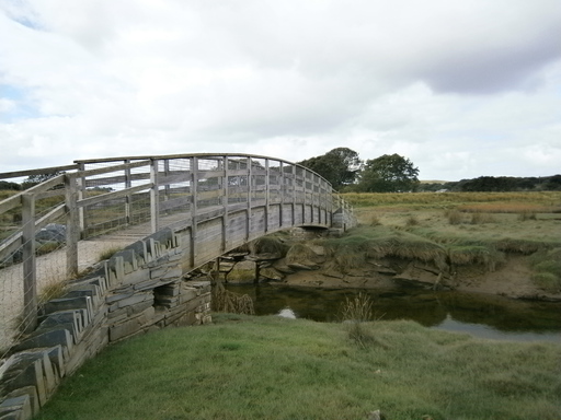 A bridge built for the path