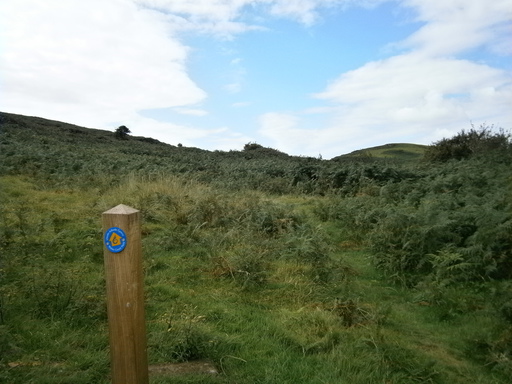 The sign... always makes you feel good