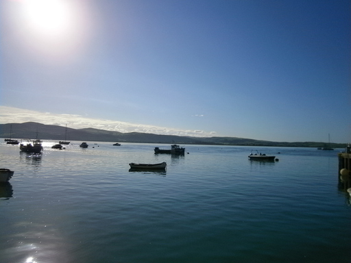Waiting for the bus to Machynlleth