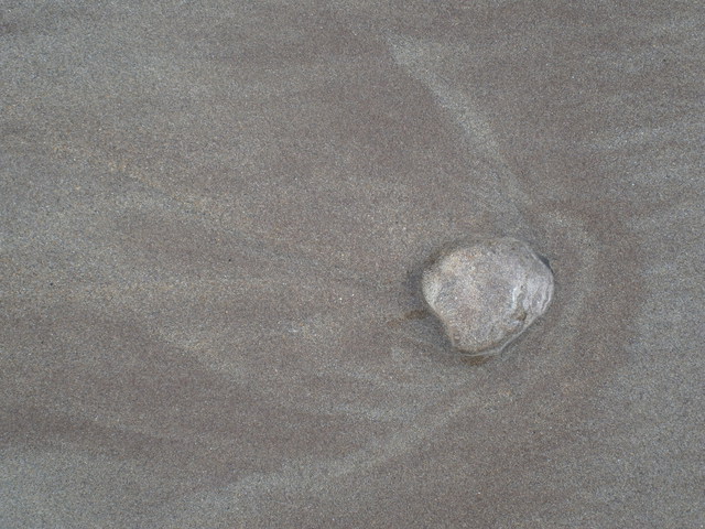 Quite a few jellyfish at all beaches
