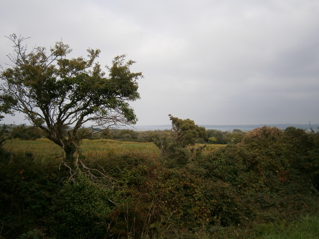 Not yet on the path...