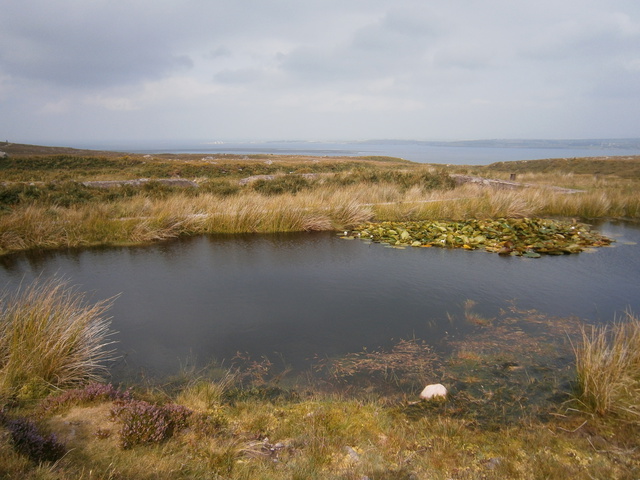 A small basin next to the path