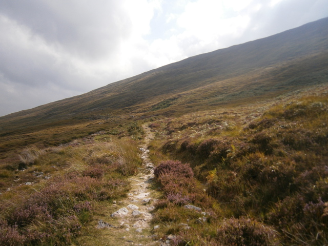 This is what most of the day looks like